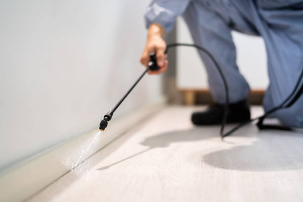 Licensed Termite Control service in McHenry County County, IL - Nex Pest Control
