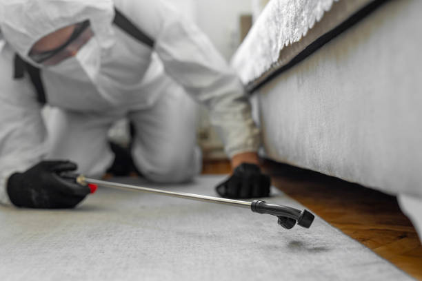 Professional Termite Control technician working in McHenry County County, IL